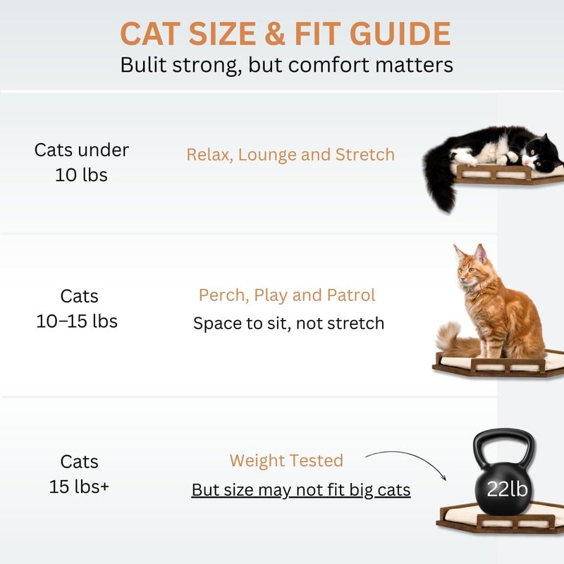 INICIO Cat Wall Shelves - Modern and Durable 3 Step Cat Furniture for Wall - Stylish Birch Floating Shelf for Cats up to 15lbs - Wooden Corner Shelves with Cushioned Perch - Brown - Image 5